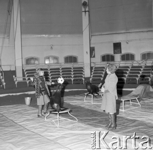 Marzec 1976, Julinek, Polska
Przygotowania do programu 