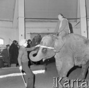 Marzec 1976, Julinek, Polska
Przygotowania do programu 