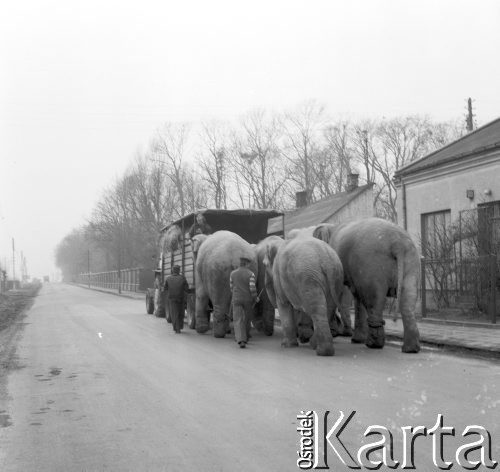 Marzec 1976, Julinek, Polska
Przygotowania do programu 