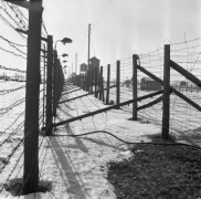 19.02.1976, Lublin Majdanek, Polska.
Obóz zagłady, zasieki z drutu kolczastego i wieżyczki strażnicze.
Fot. Jarosław Tarań, zbiory Ośrodka KARTA [76-62]

