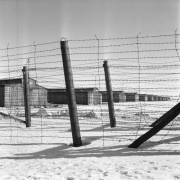 19.02.1976, Lublin Majdanek, Polska.
Obóz zagłady, zasieki z drutu kolczastego i baraki.
Fot. Jarosław Tarań, zbiory Ośrodka KARTA [76-61]

