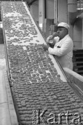 Listopad 1977, Toruń, Polska
Fabryka Cukiernicza 