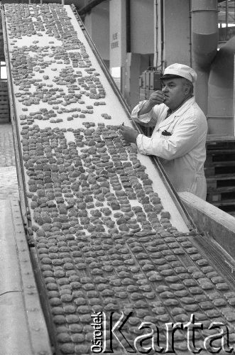 Listopad 1977, Toruń, Polska
Fabryka Cukiernicza 