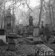 Listopad 1977, Warszawa, Polska.
Cmentarz Powązkowski, zaniedbane grobowce.
Fot. Jarosław Tarań, zbiory Ośrodka KARTA [77-210]