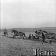 6.11.1977, Sokołów k/Golubia-Dobrzynia, Polska
Bieg myśliwski Hubertus, wyścig zaprzęgów.
Fot. Jarosław Tarań, zbiory Ośrodka KARTA [77-179]