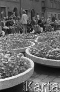 Lato 1977, Warszawa, Polska.
Stare Miasto, młodzież z lodami, na pierwszym planie gazony ze stokrotkami.
Fot. Jarosław Tarań, zbiory Ośrodka KARTA [77-88]