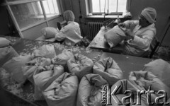 Wrzesień 1978, Swarzędz, Polska
Pracownice Zakładów Pierzarskich szyjące poduszki.
Fot. Jarosław Tarań, zbiory Ośrodka KARTA [78-6] 
