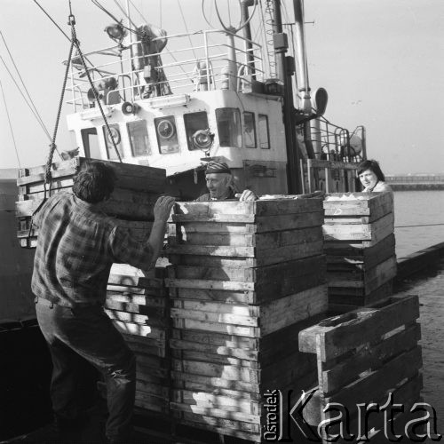 Wrzesień 1978, Hel, Polska
Pracownicy Przedsiębiorstwa Rybackiego 