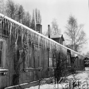 16.02.1978, Warszawa - Jelonki, Polska
Osiedle studenckie w barakach, w których mieszkali budowniczowie Pałacu Kultury i Nauki.
Fot. Jarosław Tarań, zbiory Ośrodka KARTA [78-101] 
