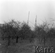 7.04.1978, Warszawa - Marymont, Polska
Budowa osiedla mieszkaniowego Marymont, na pierwszym planie drzewka owocowe, w tle dźwigi.
Fot. Jarosław Tarań, zbiory Ośrodka KARTA [78-104] 
