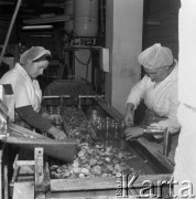 Listopad 1978, Płudy, Polska
Zakład Przetwórstwa Owocowo-Warzywnego, pracownice wkładające krojone ogórki do słoików.
Fot. Jarosław Tarań, zbiory Ośrodka KARTA [78-20] 
