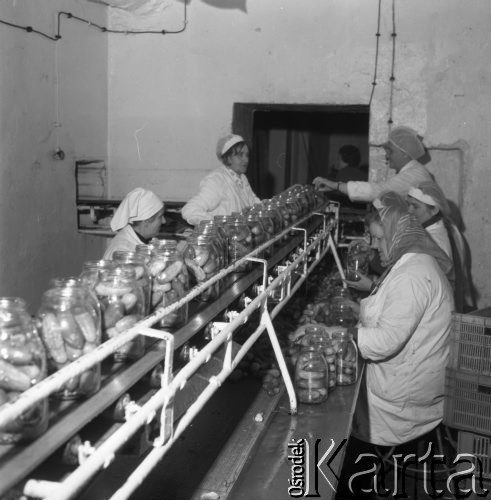 Listopad 1978, Płudy, Polska
Zakład Przetwórstwa Owocowo-Warzywnego, pracownice wkładające ogórki do słoików.
Fot. Jarosław Tarań, zbiory Ośrodka KARTA [78-20]