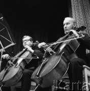 22.06.1978, Skierniewice, Polska
Koncert Jubileuszowy Orkiestry Kameralnej pod batutą Marka Sewena, wiolonczeliści.
Fot. Jarosław Tarań, zbiory Ośrodka KARTA [78-21] 

