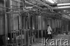 1.02.1978, Warszawa, Polska.
Mleczarnia Wola, hala produkcyjna.
Fot. Jarosław Tarań, zbiory Ośrodka KARTA [78-45]
