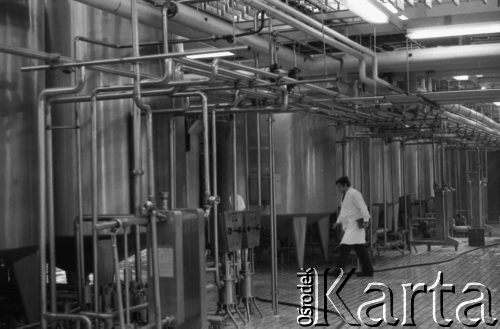 1.02.1978, Warszawa, Polska.
Mleczarnia Wola, hala produkcyjna.
Fot. Jarosław Tarań, zbiory Ośrodka KARTA [78-45]