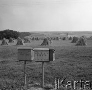 Sierpień 1978, Kazimierz Dolny okolice, Polska
Skrzynki pocztowe przy drodze, w tle stogi zbóż.
Fot. Jarosław Tarań, zbiory Ośrodka KARTA [78-028]