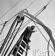 5.05.1978, Gdynia, Polska

