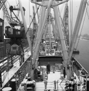 8-9.02.1978, Gdynia, Polska
Drobnicowiec MS 