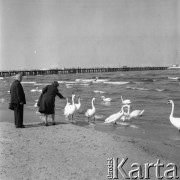 6.05.1978, Sopot, Polska
Ludzie karmiący łabędzie na plaży, w tle molo.
Fot. Jarosław Tarań, zbiory Ośrodka KARTA [78-98]