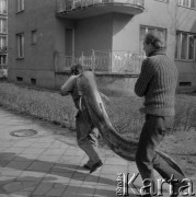 8.04.1979, Warszawa, Polska.
Olbrzymi sum (56 kg, 212 cm) złowiony w Kanale Żerańskim przez Jerzego Glińskiego.
Fot. Jarosław Tarań, zbiory Ośrodka KARTA [79-35]