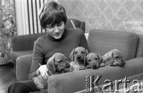 5.11.1979, Warszawa, Polska.
Siedzący w fotelu chłopiec trzyma na kolanach młode jamniki.
Fot. Jarosław Tarań, zbiory Ośrodka KARTA [79-53]