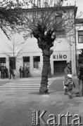 Maj 1979, Nasielsk, woj. ciechanowskie, Polska.
Fragment miasta - przejście dla pieszych oraz drzewo. Na drugim planie widoczna jest grupa osób stojąca przed kinem.
Fot. Jarosław Tarań, zbiory Ośrodka KARTA [79-52] 
