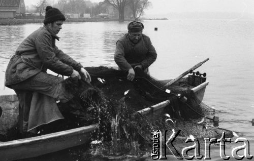 20-21.11.1979, Ostróda, woj. Olsztyn, Polska.
Rybacy z Zespołu Rybackiego Ostróda podczas połowu - wyciąganie sieci ze złowionymi rybami.
Fot. Jarosław Tarań, zbiory Ośrodka KARTA [79-18]