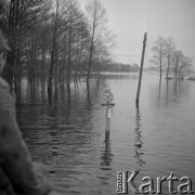 3-4.04.1979, Ostrołęka okolice, Polska.
Powódź - zatopiony przystanek autobusów PKS. Widoczne są również podtopione drzewa.
Fot. Jarosław Tarań, zbiory Ośrodka KARTA [79-31]