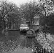 3-4.04.1979, Ostrołęka okolice, Polska.
Powódź - podtopiona ulica. Na pierwszym planie widoczny jest pies przywiązany do budy, rower oraz samochód. W oddali widoczne są drzewa.
Fot. Jarosław Tarań, zbiory Ośrodka KARTA [79-31]