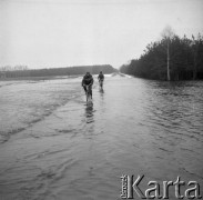 Marzec 1979, Wyszków okolice, woj. Ostrołęka, Polska.
Powódź - mężczyźni na rowerach przejeżdżają przez podtopioną drogę. W oddali widoczny jest las.
Fot. Jarosław Tarań, zbiory Ośrodka KARTA [79-23] 
