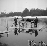 Marzec 1979, Brok okolice, woj. Ostrołęka, Polska.
Ewakcuacja ludności oraz zwierząt hodowlanych z terenów objętych powodzią. Przeprawa promowa - transport krowy.
Fot. Jarosław Tarań, zbiory Ośrodka KARTA [79-26]