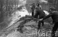 Marzec 1979, Rybienko, woj. Ostrołęka, Polska.
Sprzątanie po powodzi - mężczyźni z łopatami. Widoczna jest również podtopiona droga i drzewa. W oddali - mieszkańcy miejscowości oraz zabudowa mieszkalna.
Fot. Jarosław Tarań, zbiory Ośrodka KARTA [79-29] 
