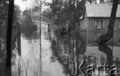 Marzec 1979, Rybienko, woj. Ostrołęka, Polska.
Powódź - zatopione domy mieszkalne oraz drzewa. Powodzianie w łódce.
Fot. Jarosław Tarań, zbiory Ośrodka KARTA [79-29] 
