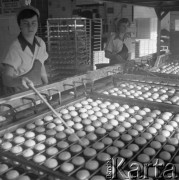 24.02.1981, Warszawa, Polska.
Zakład Ciastkarski 