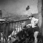 Czerwiec 1981, Zagozd, pow. Drawsko Pomorskie, Polska
Gospodarstwo rodziny Grzybickich, chłopiec i prosięta.
Fot. Jarosław Tarań, zbiory Ośrodka KARTA [81-29] 
