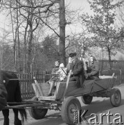 12.04.1981, Łyse, woj. Ostrołęka, Polska
Niedziela Palmowa na Kurpiach, rodzina jadąca wozem z palmą.
Fot. Jarosław Tarań, zbiory Ośrodka KARTA [81-15]