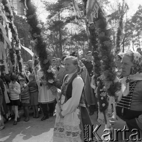 12.04.1981, Łyse, woj. Ostrołęka, Polska
Niedziela Palmowa na Kurpiach, kobiety w kurpiowskich strojach z palmami.
Fot. Jarosław Tarań, zbiory Ośrodka KARTA [81-14] 
