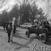 12.04.1981, Łyse, woj. Ostrołęka, Polska
Niedziela Palmowa na Kurpiach, rodzina z palmą jadąca konnym wozem.
Fot. Jarosław Tarań, zbiory Ośrodka KARTA [81-13] 
