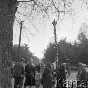 12.04.1981, Łyse, woj. Ostrołęka, Polska
Niedziela Palmowa na Kurpiach, palma i słup linii wysokiego napięcia.
Fot. Jarosław Tarań, zbiory Ośrodka KARTA [81-13] 
