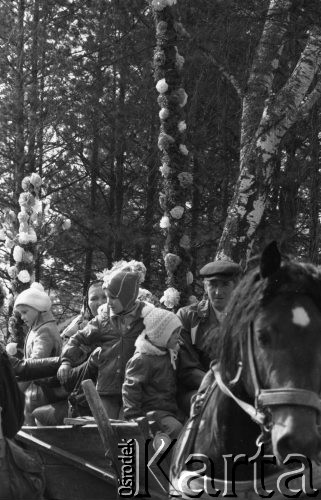 12.04.1981, Łyse, woj. Ostrołęka, Polska
Niedziela Palmowa na Kurpiach, rodzina z palmami na wozie.
Fot. Jarosław Tarań, zbiory Ośrodka KARTA [81-12] 
