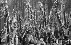 12.04.1981, Łyse, woj. Ostrołęka, Polska
Niedziela Palmowa na Kurpiach, wierni z palmami.
Fot. Jarosław Tarań, zbiory Ośrodka KARTA [81-11] 
