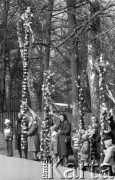 12.04.1981, Łyse, woj. Ostrołęka, Polska
Niedziela Palmowa na Kurpiach, kobiety z palmami.
Fot. Jarosław Tarań, zbiory Ośrodka KARTA [81-10] 
