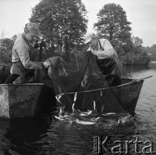 4-5.06.1981, Pelnik, woj. Olsztyn, Polska
Rybacy z Zespołu Rybackiego Ostróda w czasie połowów w jeziorze Isąg.
Fot. Jarosław Tarań, zbiory Ośrodka KARTA [81-41]