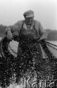4-5.06.1981, Pelnik, woj. Olsztyn, Polska
Rybacy z Zespołu Rybackiego Ostróda w czasie połowów w jeziorze Isąg.
Fot. Jarosław Tarań, zbiory Ośrodka KARTA [81-40] 
