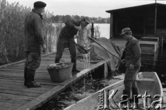 Październik 1982, Ostróda okolice, Polska
Rybacy z Zespołu Rybackiego Ostróda podczas jesiennych połowów.
Fot. Jarosław Tarań, zbiory Ośrodka KARTA [81-2]