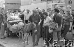 Wrzesień 1982, Wrocław, Polska
Ludzie zgromadzeni wokół mężczyzny z wózkiem ciągniętym przez osiołka.
Fot. Jarosław Tarań, zbiory Ośrodka KARTA [82-6] 
