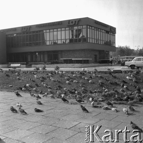 Wrzesień 1982, Gdańsk, Polska
Targ Węglowy, siedziba Polskich Linii Lotniczych LOT.
Fot. Jarosław Tarań, zbiory Ośrodka KARTA [82-23] 
