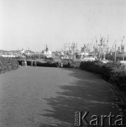 Wrzesień 1982, Gdańsk, Polska
Westerplatte, okolice Pomnika Obrońców Wybrzeża, widok portu.
Fot. Jarosław Tarań, zbiory Ośrodka KARTA [82-17]