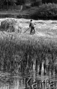 23.06.1984, Tykocin, Polska
Rozlewiska Narwi, mężczyzna koszący trawę na łące nad brzegiem rzeki.
Fot. Jarosław Tarań, zbiory Ośrodka KARTA [84-5]