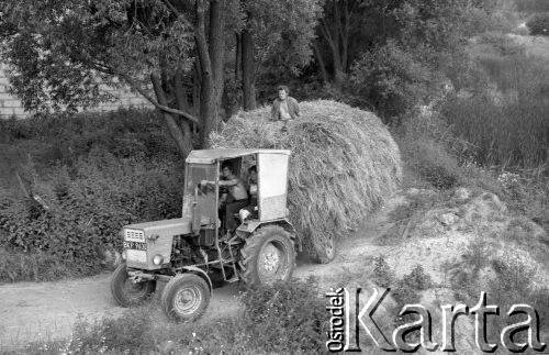 23.06.1984, Tykocin, Polska
Rozlewiska Narwi, traktor wiozący siano na przyczepie.
Fot. Jarosław Tarań, zbiory Ośrodka KARTA [84-5]